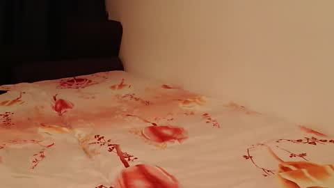 TheBigOne431 online show from September 2025 03:44:01 PM