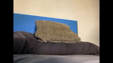 thebulge_b0y online show from October 2025 08:48:02 AM