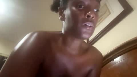 the cinnamon xperience online show from March 2026 08:58:02 AM