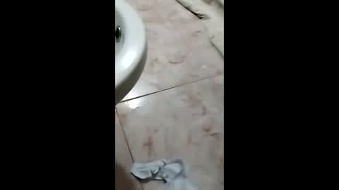 Snapshot of thedo121111 chatting on October 2025 01:17:02 PM thedo121111 online show from October 2025 01:17:02 PM