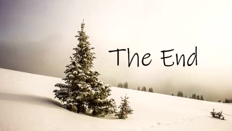 Snapshot of thedome372 chatting on October 2025 08:18:01 PM thedome372 online show from October 2025 08:18:01 PM