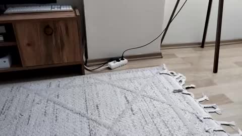 Snapshot of thefckngcber chatting on September 2025 09:53:01 PM thefckngcber online show from September 2025 09:53:01 PM