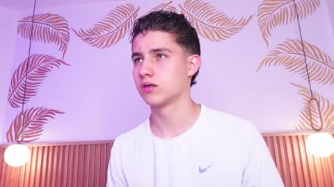 Snapshot of theohawke_ chatting on January 2025 01:52:01 PM THEO- MATEO online show from January 2025 01:52:01 PM