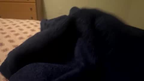 theplummer99 online show from December 2025 09:29:01 AM