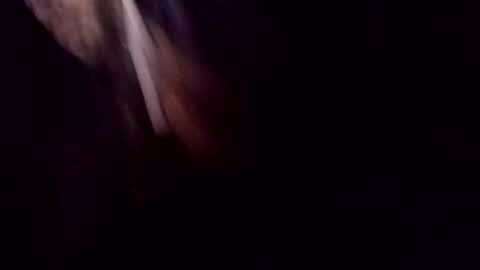 Snapshot of theprofessorxo chatting on September 2025 12:49:01 AM theprofessorxo online show from September 2025 12:49:01 AM