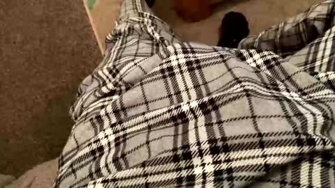 therealpietro77 online show from February 2026 08:57:02 PM