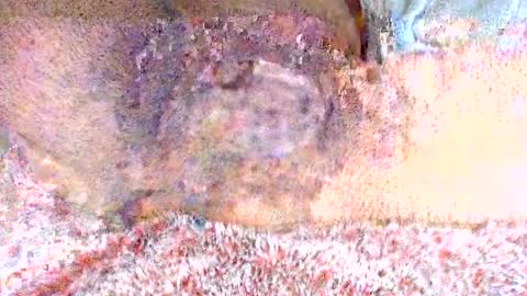 Snapshot of thetightestass14 chatting on February 2025 08:36:01 PM thetightestass14 online show from February 2025 08:36:01 PM