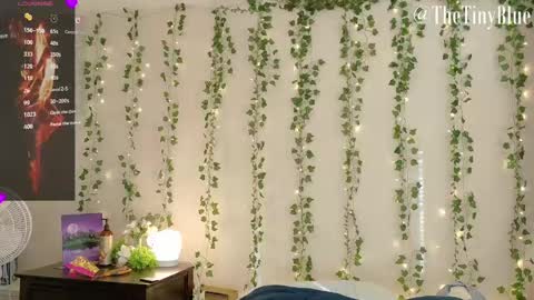 Tiny Blue online show from February 2025 05:48:01 PM