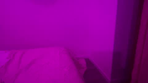 The Wild Wonderland online show from January 2026 02:14:01 AM