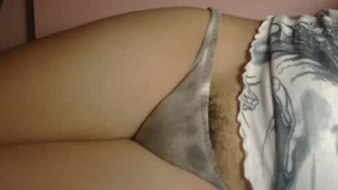 cy online show from December 2025 04:01:01 PM