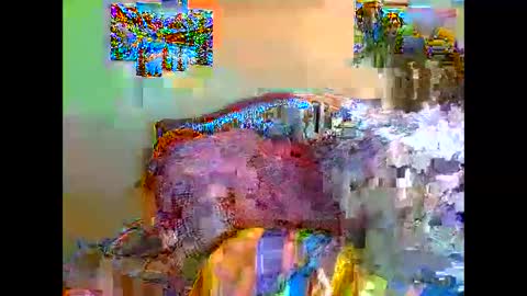 Snapshot of thickassvillageebony chatting on November 2025 08:20:01 PM thickassvillageebony online show from November 2025 08:20:01 PM