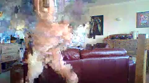 Snapshot of thickcockat71 chatting on May 2026 09:44:02 PM Thickcockat71 online show from May 2026 09:44:02 PM