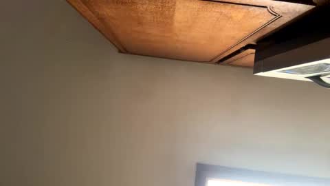 Snapshot of thickcockcali chatting on February 2025 07:44:02 PM CaliLove916 online show from February 2025 07:44:02 PM