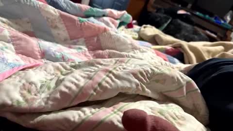 thickdic44 online show from February 2025 06:40:02 PM