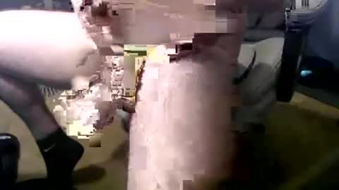 thickkkcockkkguy online show from May 2026 03:40:02 PM