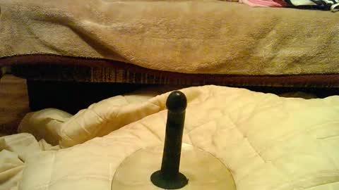 Thongsandstocking online show from December 2025 11:21:01 PM