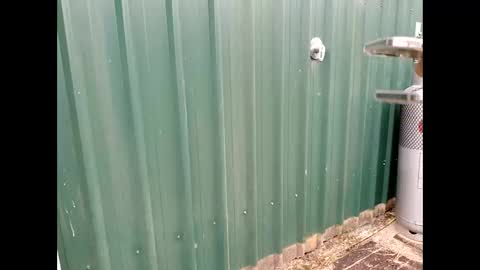 throbmasterr online show from September 2025 09:48:02 PM