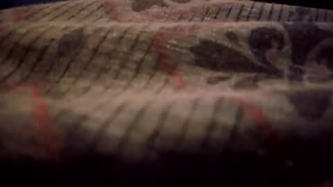 Snapshot of throtpie chatting on December 2025 04:17:01 AM throtpie online show from December 2025 04:17:01 AM