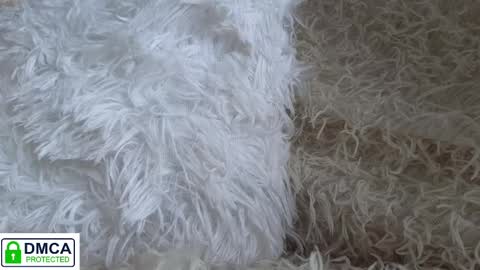 Snapshot of tia_j chatting on January 2025 11:58:02 AM tia_j online show from January 2025 11:58:02 AM