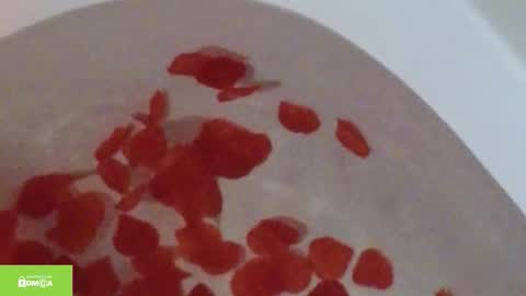 Snapshot of tia_j chatting on October 2025 11:20:02 AM tia_j online show from October 2025 11:20:02 AM