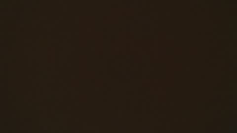 Snapshot of tiana_scot chatting on April 2026 02:15:02 PM LIA online show from April 2026 02:15:02 PM