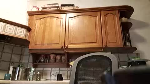 Snapshot of tigermatt76e chatting on March 2026 06:32:01 PM tigermatt76e online show from March 2026 06:32:01 PM