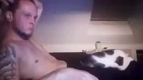 tigertrance online show from October 2025 03:18:02 AM