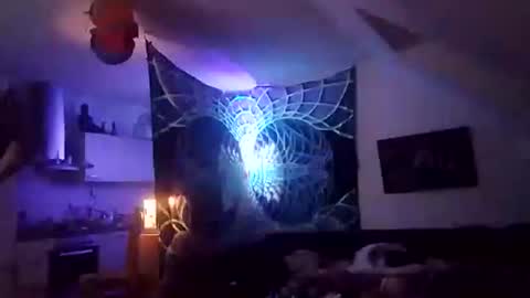 tigertrance online show from December 2025 12:49:02 AM