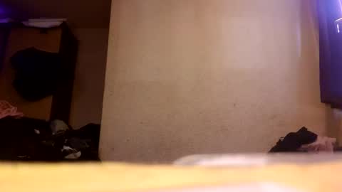 Tiger Lexy online show from May 2026 11:28:01 AM