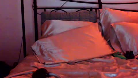 Snapshot of tiggity19 chatting on March 2026 11:38:02 AM Tiggity23 come stroke my 9 cock with ne online show from March 2026 11:38:02 AM