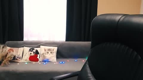 Luisa online show from November 2025 08:46:02 AM