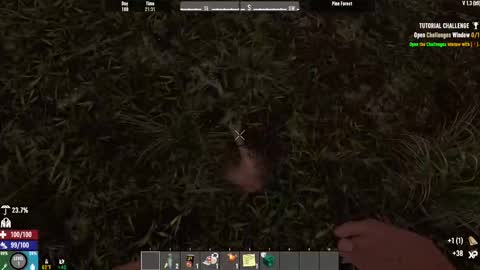 Snapshot of timlooking1 chatting on February 2025 08:22:02 AM TimLooking online show from February 2025 08:22:02 AM