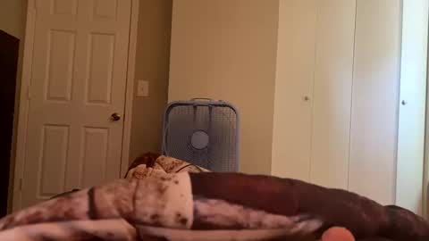 Snapshot of tims1984 chatting on October 2025 08:41:01 PM Tim Haley online show from October 2025 08:41:01 PM