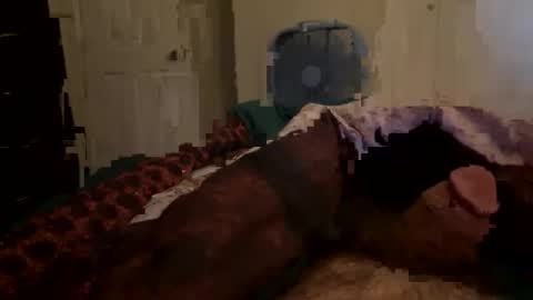 Snapshot of tims1984 chatting on March 2026 11:21:01 PM Tim Haley online show from March 2026 11:21:01 PM