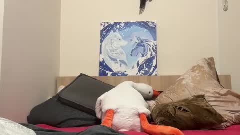 Wizard online show from February 2025 08:02:02 PM