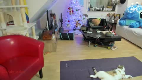 Tiny online show from December 2025 04:31:02 AM