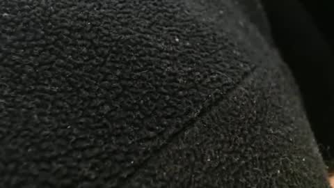 Snapshot of tinyslut66 chatting on November 2025 10:59:02 PM tinyslut66 online show from November 2025 10:59:02 PM