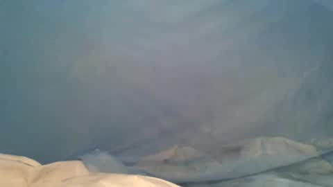 titswt online show from December 2024 02:08:02 AM