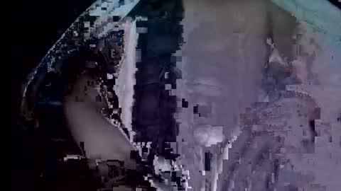tjay30529 online show from November 2025 08:14:02 AM