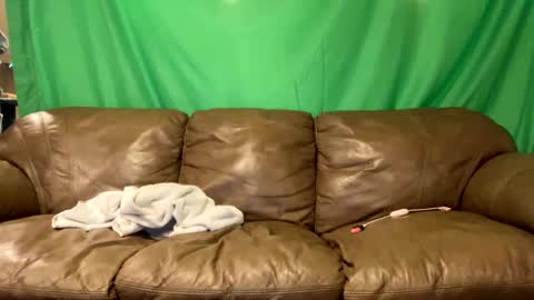 tjfemboi5641 online show from October 2025 10:36:01 AM