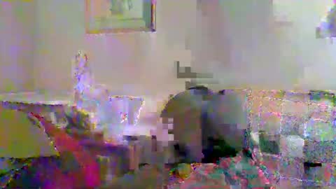 Vols online show from November 2025 12:54:02 AM