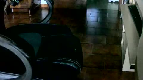 Snapshot of tobikoyuzu chatting on December 2024 04:52:01 PM Tobiko online show from December 2024 04:52:01 PM