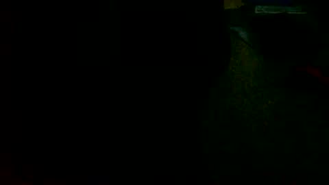 Snapshot of tobikoyuzu chatting on January 2025 05:33:02 PM Tobiko online show from January 2025 05:33:02 PM