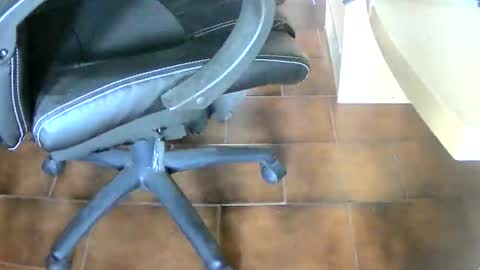 Snapshot of tobikoyuzu chatting on January 2025 04:18:02 PM Tobiko online show from January 2025 04:18:02 PM