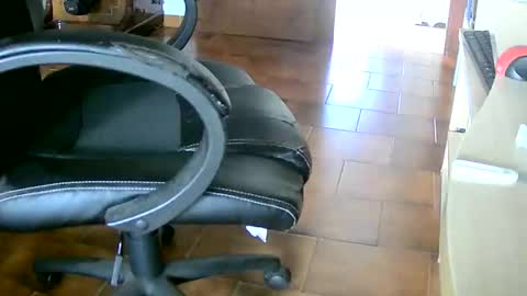 Snapshot of tobikoyuzu chatting on March 2025 04:24:02 PM Tobiko online show from March 2025 04:24:02 PM