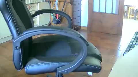 Snapshot of tobikoyuzu chatting on September 2025 11:54:01 AM Tobiko online show from September 2025 11:54:01 AM