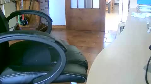 Snapshot of tobikoyuzu chatting on September 2025 01:24:01 PM Tobiko online show from September 2025 01:24:01 PM