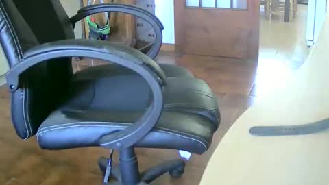 Snapshot of tobikoyuzu chatting on September 2025 12:18:01 PM Tobiko online show from September 2025 12:18:01 PM