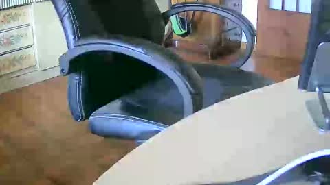 Snapshot of tobikoyuzu chatting on September 2025 11:48:01 AM Tobiko online show from September 2025 11:48:01 AM