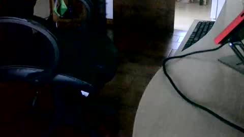 Snapshot of tobikoyuzu chatting on November 2025 03:30:02 PM Tobiko online show from November 2025 03:30:02 PM